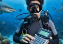 The Use of Calculators in Underwater Research | Water Quality Index